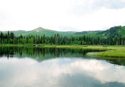 رسیدنس این اسالت لاک سیتی کتتونوود