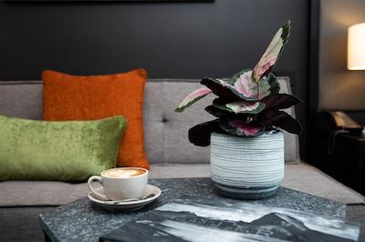 ریجز ولینگتون آیرپرت