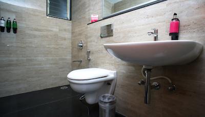 لیتل ماستیف چینچواد