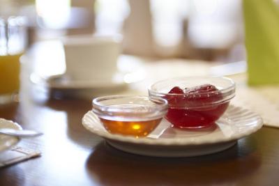 هتل بلیبترو برلین بای گولدن تولیپ