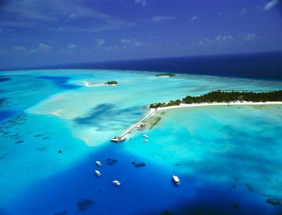 ریهیولی د دریم