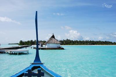 ریهیولی د دریم