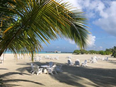 ریهیولی د دریم