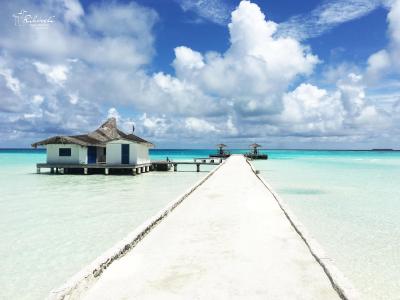 ریهیولی د دریم