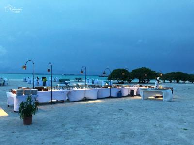 ریهیولی د دریم