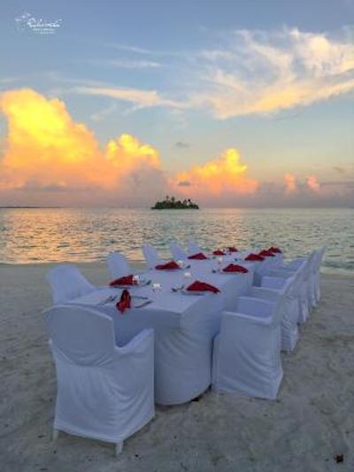 ریهیولی د دریم