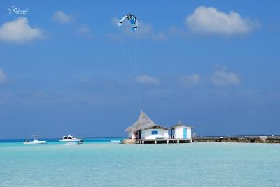 ریهیولی د دریم