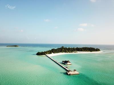 ریهیولی د دریم