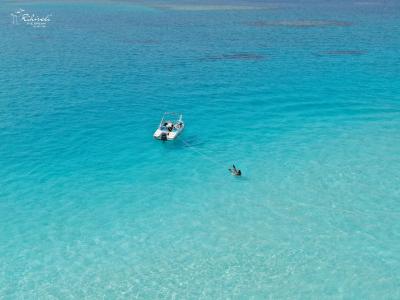 ریهیولی د دریم