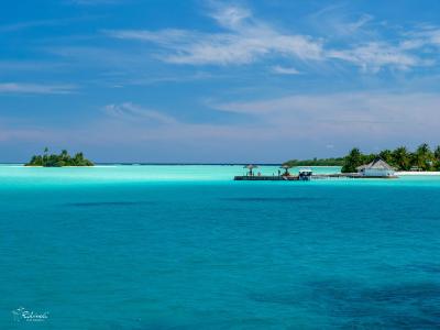 ریهیولی د دریم