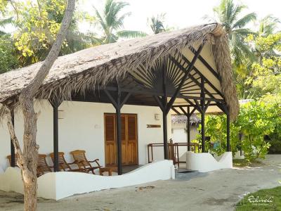 ریهیولی د دریم