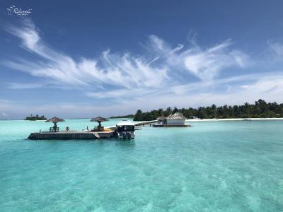 ریهیولی د دریم