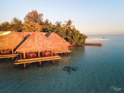 ریهیولی د دریم