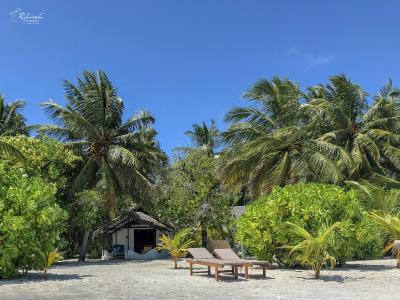 ریهیولی د دریم