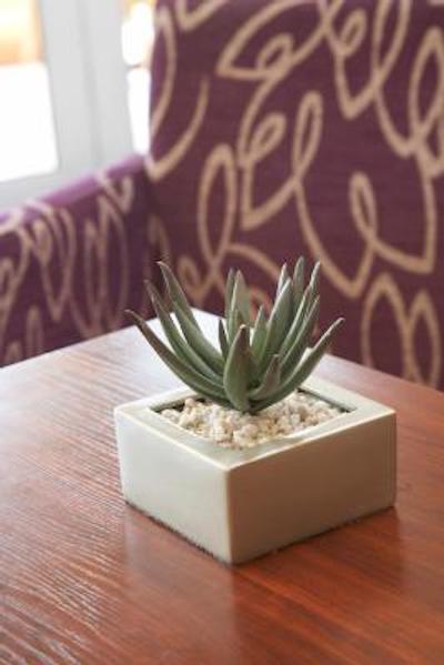 مرکور جهانسبورگ راندبورگ هتل