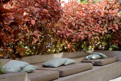 هلید این اکسپرز انتفاگاستا