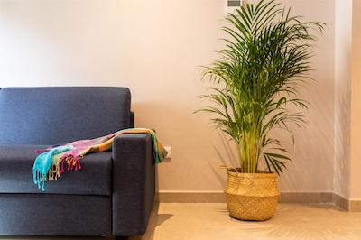 رامیرز فلاتز اند بار