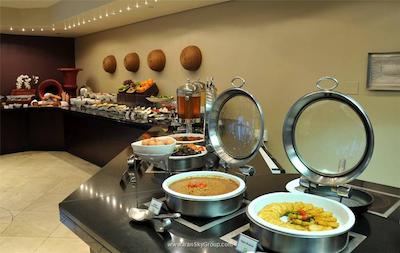 هالیدی این سندتون