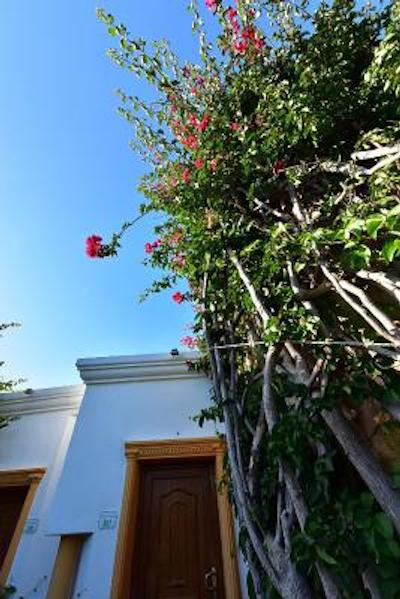 ترپیکانا بیچ هتل