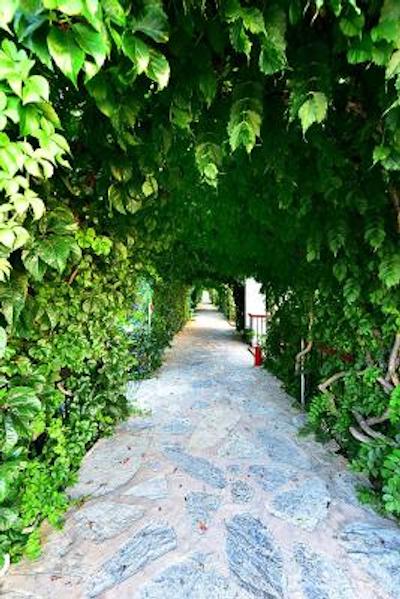 ترپیکانا بیچ هتل