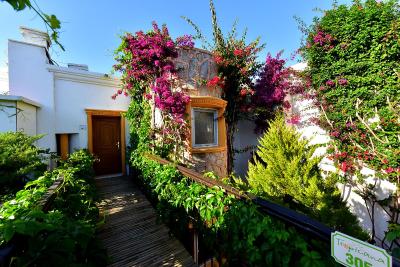 ترپیکانا بیچ هتل