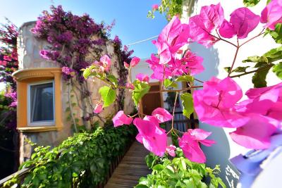 ترپیکانا بیچ هتل