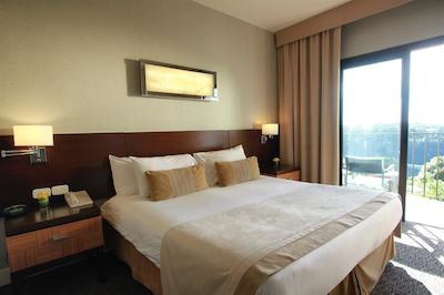 پانرامیک هتل ایگوازو