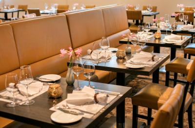 ارکتل کامینو استوتگارت