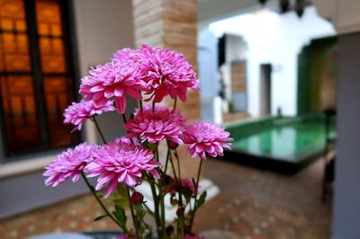 لز جاردینز د مواسین