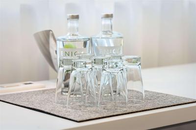 تولیپ این دوسلدرف ارنا