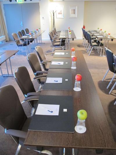 تولیپ این دوسلدرف ارنا