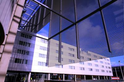 تولیپ این دوسلدرف ارنا