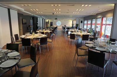 تولیپ این دوسلدرف ارنا