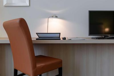 تولیپ این دوسلدرف ارنا