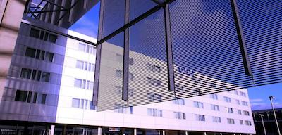 تولیپ این دوسلدرف ارنا