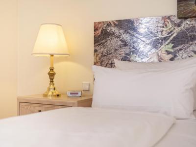 هتل ام سهلز کپنیک برلین بای گولدن تولیپ