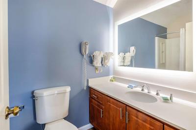 اُگونکویت ریور این