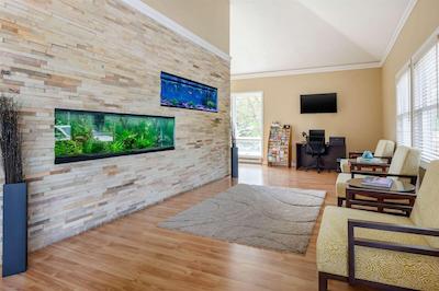 اُگونکویت ریور این