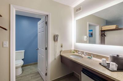 اُگونکویت ریور این