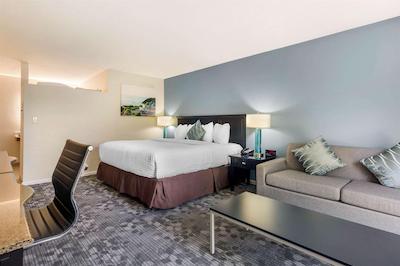 اُگونکویت ریور این