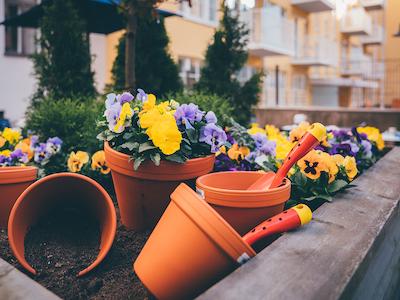 رادیسن بلو آلکسانتری هتل