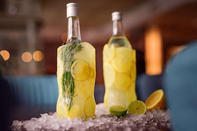 رادیسن بلو آلکسانتری هتل