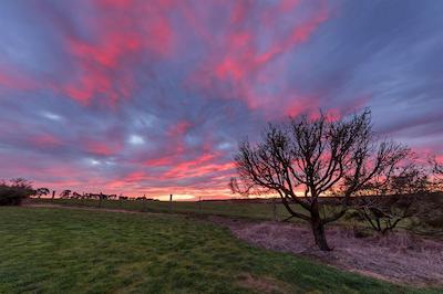 رامادا ریزرت بای ویندهام فیلیپ ایسلاند