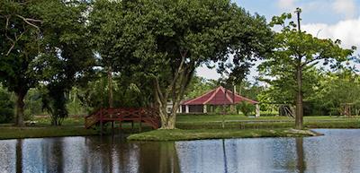 ویلا ریکا بلم