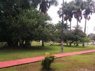 ویلا ریکا بلم