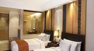 هالیدی این نیو دهلی میور ویهار نویدا