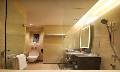 هالیدی این نیو دهلی میور ویهار نویدا