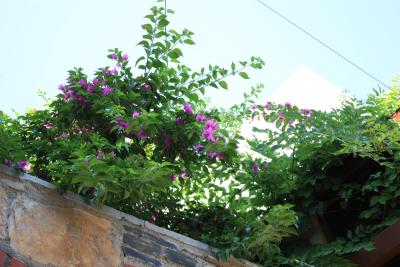 تلمان هتل اند اپارتمنتز