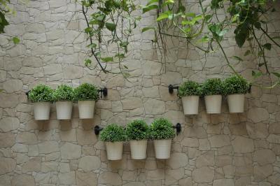 ردورز پرمیوم نیر رز پندک اینداه