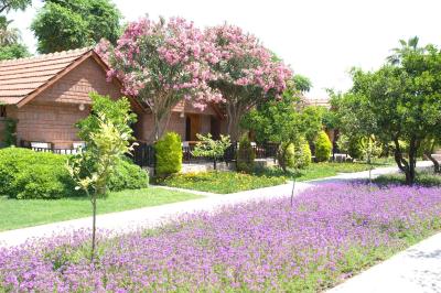 کان گاردن بیچ